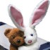 Blaupunkt Kit THx172 + THA280 + Benny & Bunny